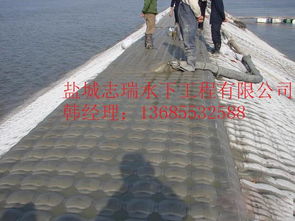 吉林市混凝土模袋施工公司混凝土模袋施工