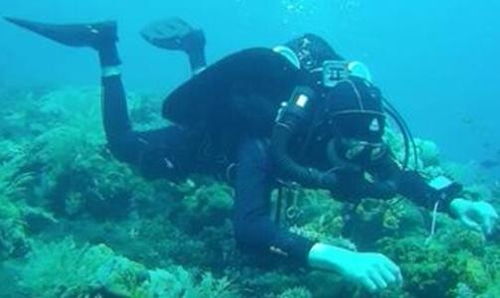 欢迎 清镇水下打捞公司 水下打捞