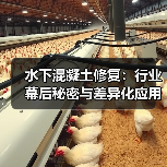 水下混凝土修复：行业幕后秘密与差异化应用解析（图4）