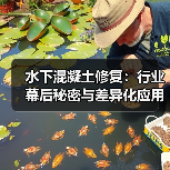 水下混凝土修复：行业幕后秘密与差异化应用解析（图2）