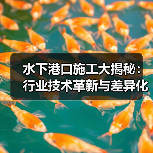 水下港口施工大揭秘:行业技术革新与差异化路径(图3) 水下港口施工大揭秘:行业技术革新与差异化路径(图3)