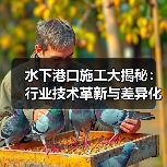 水下港口施工大揭秘:行业技术革新与差异化路径(图4) 水下港口施工大揭秘:行业技术革新与差异化路径(图4)