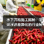 水下沉箱施工揭秘:掌握浮运差异化的行业秘技(图1) 水下沉箱施工揭秘:掌握浮运差异化的行业秘技(图1)