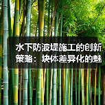 水下防波堤施工的创新策略:块体差异化的魅力(图1) 水下防波堤施工的创新策略:块体差异化的魅力(图1)