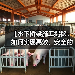 【水下桥梁施工揭秘:如何实现高效、安全的桥梁水下工程】(图2) 【水下桥梁施工揭秘:如何实现高效、安全的桥梁水下工程】(图2)