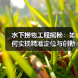 水下捞物工程揭秘:如何实现精准定位与创新打捞(图2) 水下捞物工程揭秘:如何实现精准定位与创新打捞(图2)