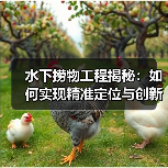 水下捞物工程揭秘:如何实现精准定位与创新打捞(图3) 水下捞物工程揭秘:如何实现精准定位与创新打捞(图3)