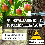 水下捞物工程揭秘:如何实现精准定位与创新打捞(图4) 水下捞物工程揭秘:如何实现精准定位与创新打捞(图4)