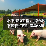 水下捞物工程:揭秘水下轻载打捞的差异化策略(图4) 水下捞物工程:揭秘水下轻载打捞的差异化策略(图4)