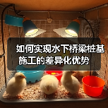 如何实现水下桥梁桩基施工的差异化优势(图4) 如何实现水下桥梁桩基施工的差异化优势(图4)