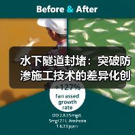 水下隧道封堵：突破防渗施工技术的差异化创新（图1）