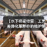 【水下桥梁修复:工艺差异化革新你的维护策略】(图1) 【水下桥梁修复:工艺差异化革新你的维护策略】(图1)