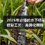 2026年必懂的水下桥梁修复工艺：差异化策略全揭秘（图1）