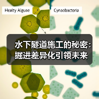 水下隧道施工的秘密:掘进差异化引领未来(图3) 水下隧道施工的秘密:掘进差异化引领未来(图3)