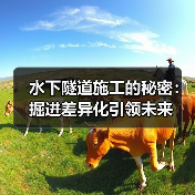 水下隧道施工的秘密:掘进差异化引领未来(图4) 水下隧道施工的秘密:掘进差异化引领未来(图4)