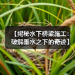 【揭秘水下桥梁施工:破解墨水之下的奇迹】(图2) 【揭秘水下桥梁施工:破解墨水之下的奇迹】(图2)