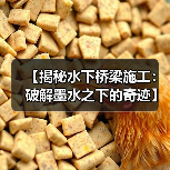 【揭秘水下桥梁施工:破解墨水之下的奇迹】(图3) 【揭秘水下桥梁施工:破解墨水之下的奇迹】(图3)