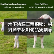 水下堵漏工程揭秘:材料差异化引领防渗新变革(图4) 水下堵漏工程揭秘:材料差异化引领防渗新变革(图4)