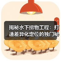 揭秘水下捞物工程:打造差异化定位的独门秘籍!(图3) 揭秘水下捞物工程:打造差异化定位的独门秘籍!(图3)