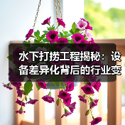 水下打捞工程揭秘:设备差异化背后的行业变革(图3) 水下打捞工程揭秘:设备差异化背后的行业变革(图3)