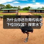 为什么你还在用传统水下检测仪器?探索水下工程中的差异化仪器,开启智能检测新时代!(图4) 为什么你还在用传统水下检测仪器?探索水下工程中的差异化仪器,开启智能检测新时代!(图4)