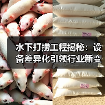 水下打捞工程揭秘:设备差异化引领行业新变革(图1) 水下打捞工程揭秘:设备差异化引领行业新变革(图1)