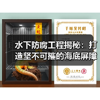 水下防腐工程揭秘:打造坚不可摧的海底屏障(图3) 水下防腐工程揭秘:打造坚不可摧的海底屏障(图3)