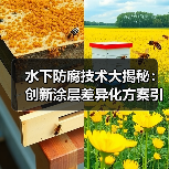 水下防腐技术大揭秘：创新涂层差异化方案引领行业革新（图3）