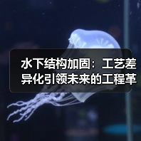 水下结构加固:工艺差异化引领未来的工程革命(图4) 水下结构加固:工艺差异化引领未来的工程革命(图4)