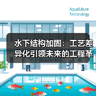水下结构加固:工艺差异化引领未来的工程革命(图3) 水下结构加固:工艺差异化引领未来的工程革命(图3)