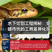 水下切割工程揭秘:突破传统的工具差异化策略(图3) 水下切割工程揭秘:突破传统的工具差异化策略(图3)