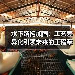 水下结构加固:工艺差异化引领未来的工程革命(图1) 水下结构加固:工艺差异化引领未来的工程革命(图1)