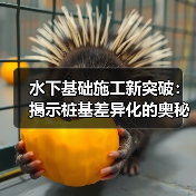 水下基础施工新突破：揭示桩基差异化的奥秘（图1）