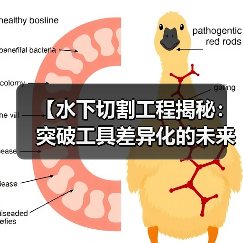 【水下切割工程揭秘:突破工具差异化的未来趋势】(图4) 【水下切割工程揭秘:突破工具差异化的未来趋势】(图4)