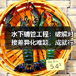 水下铺管工程:破解对接差异化难题,成就行业新传奇(图1) 水下铺管工程:破解对接差异化难题,成就行业新传奇(图1)