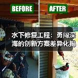 水下修复工程:勇闯深海的创新方案差异化揭秘(图3) 水下修复工程:勇闯深海的创新方案差异化揭秘(图3)