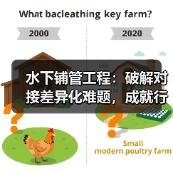 水下铺管工程:破解对接差异化难题,成就行业新传奇(图3) 水下铺管工程:破解对接差异化难题,成就行业新传奇(图3)