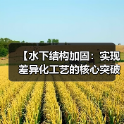 【水下结构加固：实现差异化工艺的核心突破】（图1）