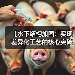 【水下结构加固：实现差异化工艺的核心突破】（图2）