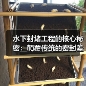 水下封堵工程的核心秘密:颠覆传统的密封差异化策略(图2) 水下封堵工程的核心秘密:颠覆传统的密封差异化策略(图2)