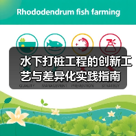 水下打桩工程的创新工艺与差异化实践指南（图4）