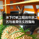 水下打桩工程的创新工艺与差异化实践指南（图1）