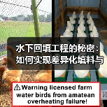 水下回填工程的秘密:如何实现差异化填料与精准施工(图3) 水下回填工程的秘密:如何实现差异化填料与精准施工(图3)