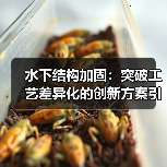 水下结构加固：突破工艺差异化的创新方案引领未来（图1）