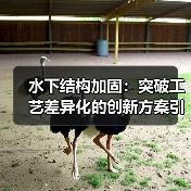 水下结构加固：突破工艺差异化的创新方案引领未来（图3）
