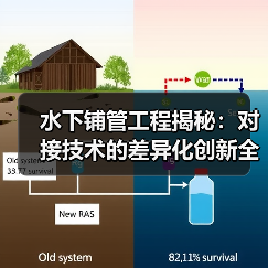 水下铺管工程揭秘:对接技术的差异化创新全攻略(图2) 水下铺管工程揭秘:对接技术的差异化创新全攻略(图2)