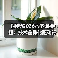 【揭秘2026水下焊接工程：技术差异化驱动行业变革】（图1）