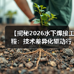 【揭秘2026水下焊接工程：技术差异化驱动行业变革】（图4）