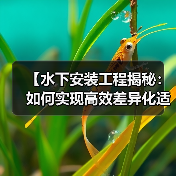 【水下安装工程揭秘：如何实现高效差异化适配】（图3）