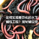 如何实现差异化的水下铺缆工程?揭秘铺设技巧与行业内幕(图1) 如何实现差异化的水下铺缆工程?揭秘铺设技巧与行业内幕(图1)